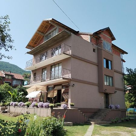 Guest House Dimitrije 尼什矿泉村 外观 照片