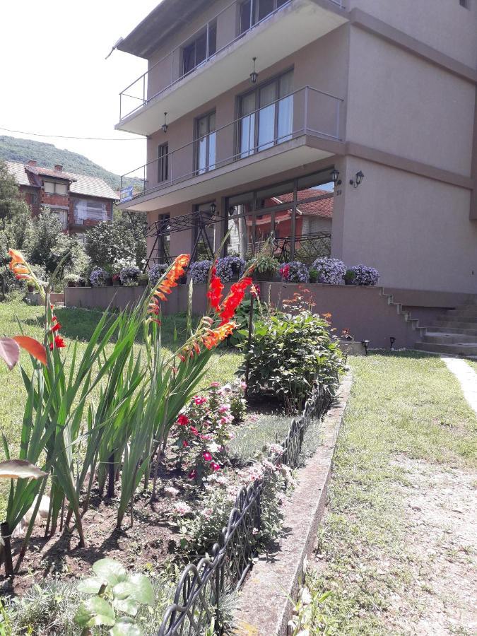 Guest House Dimitrije 尼什矿泉村 外观 照片