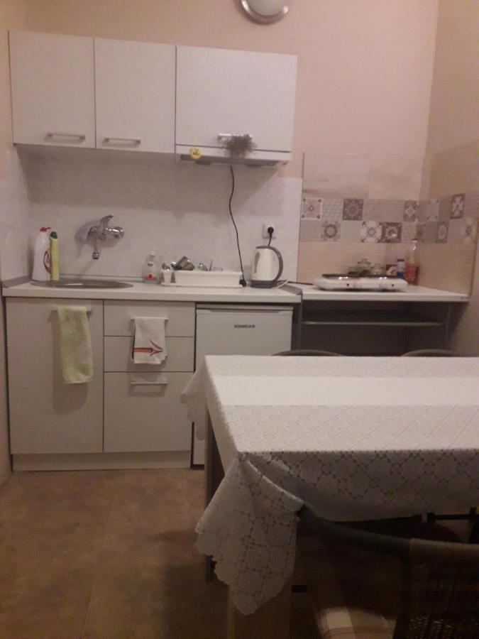 Guest House Dimitrije 尼什矿泉村 外观 照片