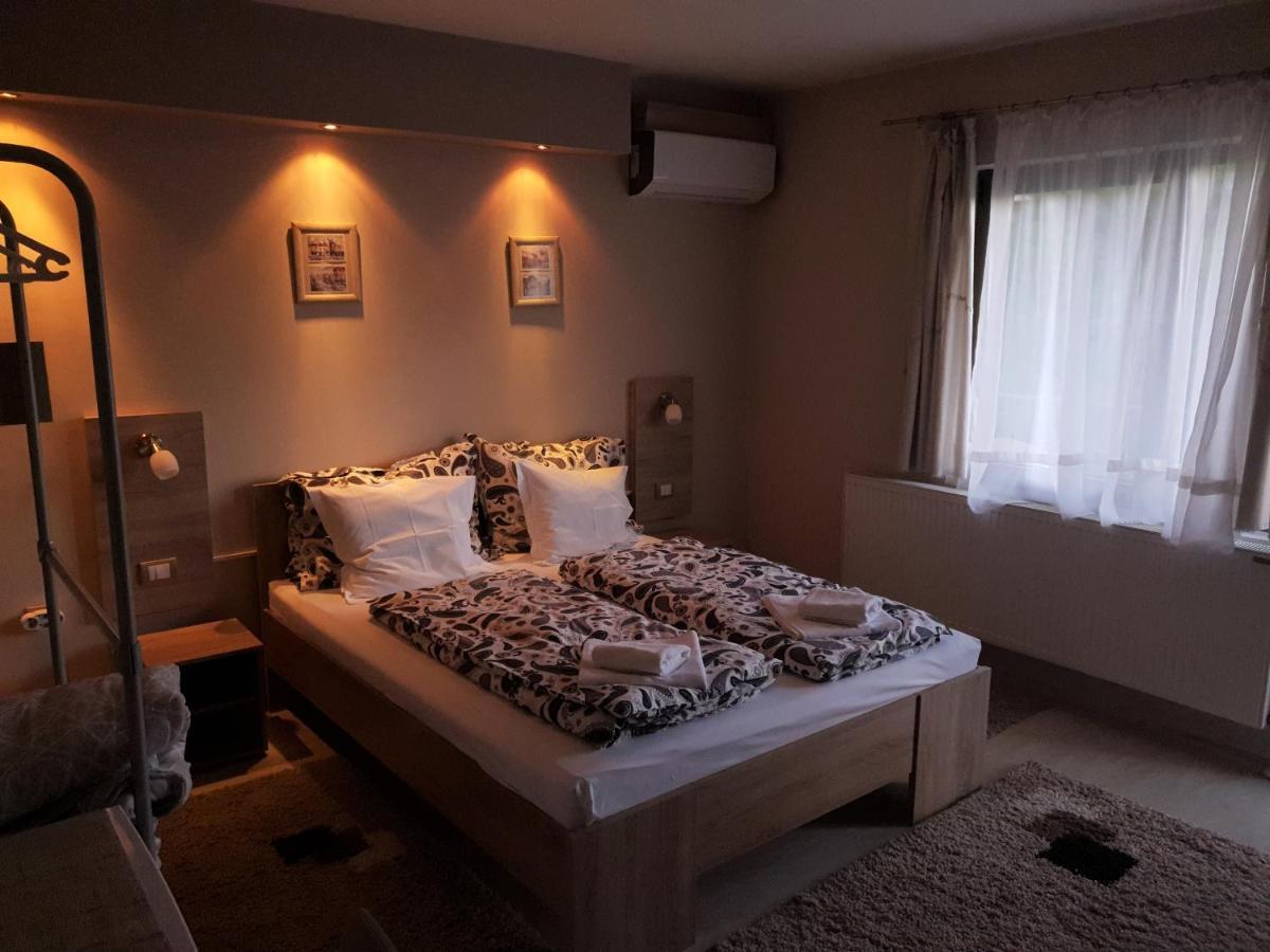 Guest House Dimitrije 尼什矿泉村 外观 照片