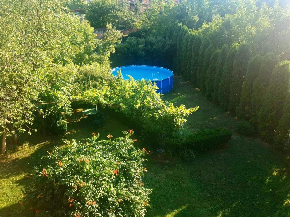 Guest House Dimitrije 尼什矿泉村 外观 照片