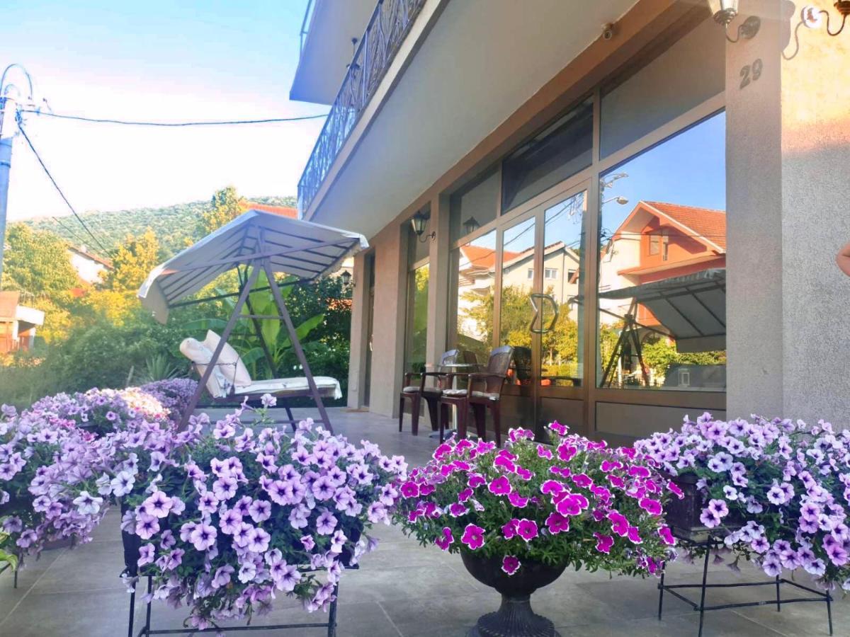 Guest House Dimitrije 尼什矿泉村 外观 照片