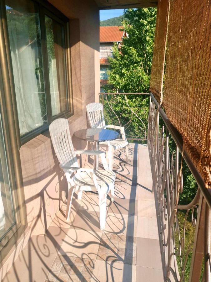 Guest House Dimitrije 尼什矿泉村 外观 照片