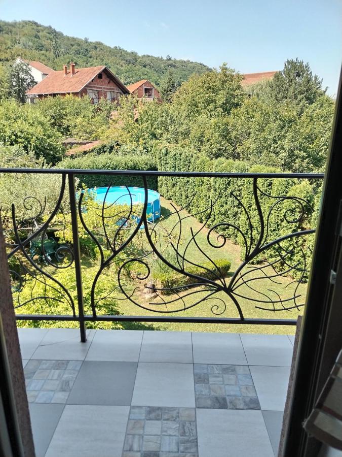 Guest House Dimitrije 尼什矿泉村 外观 照片