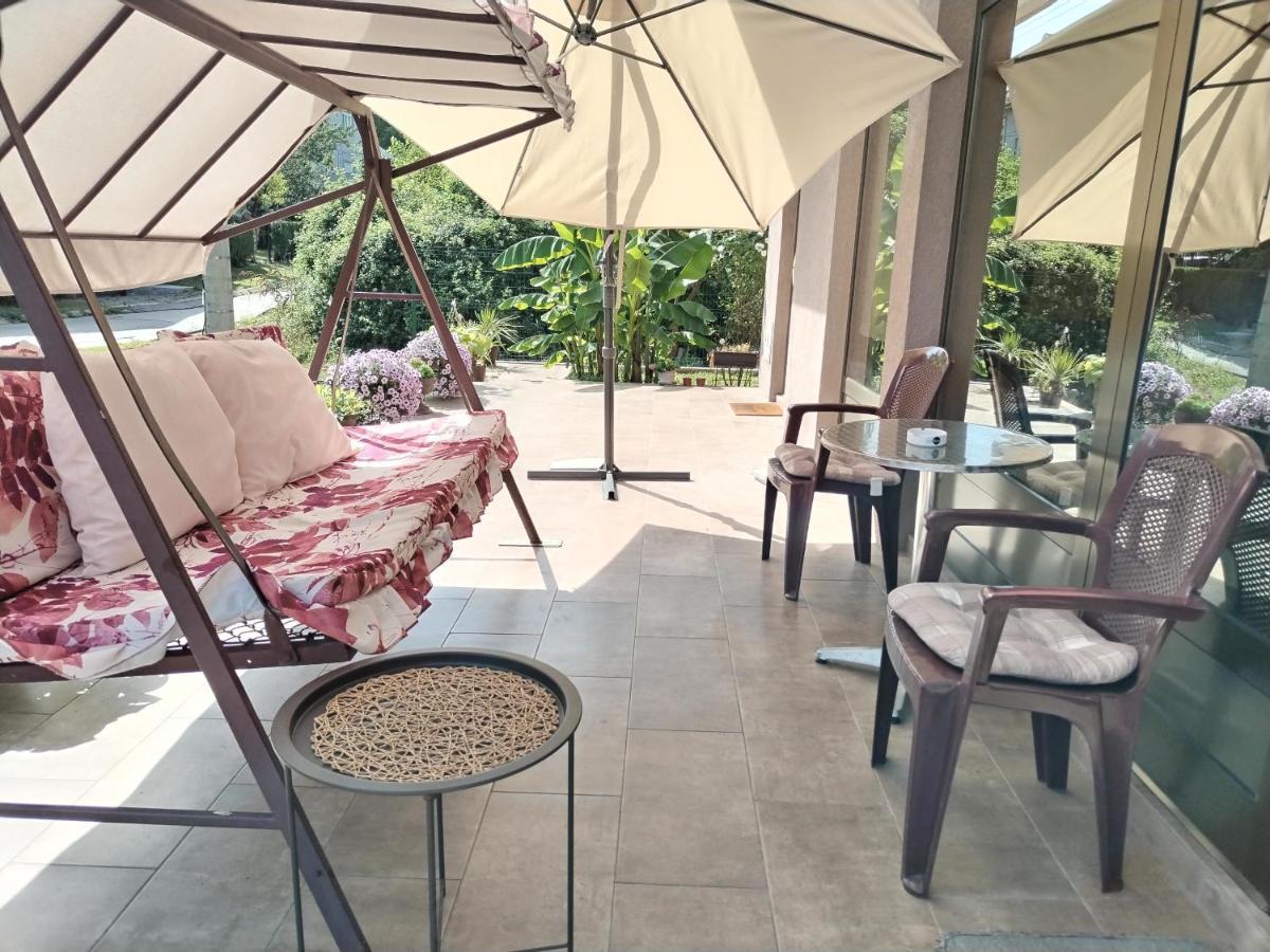 Guest House Dimitrije 尼什矿泉村 外观 照片
