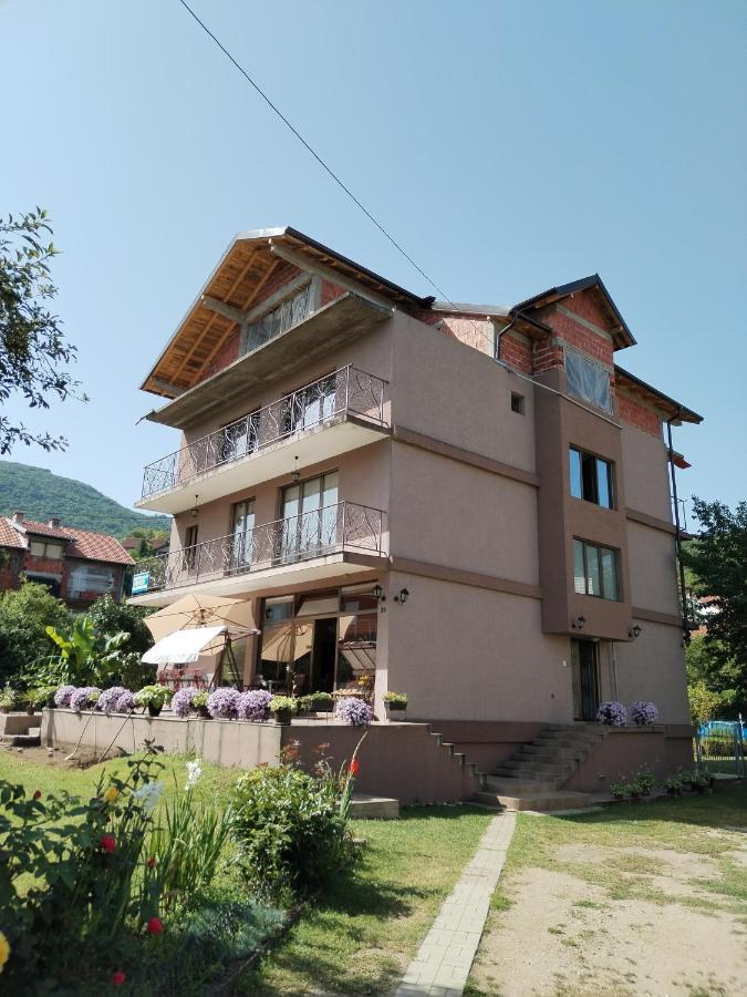 Guest House Dimitrije 尼什矿泉村 外观 照片