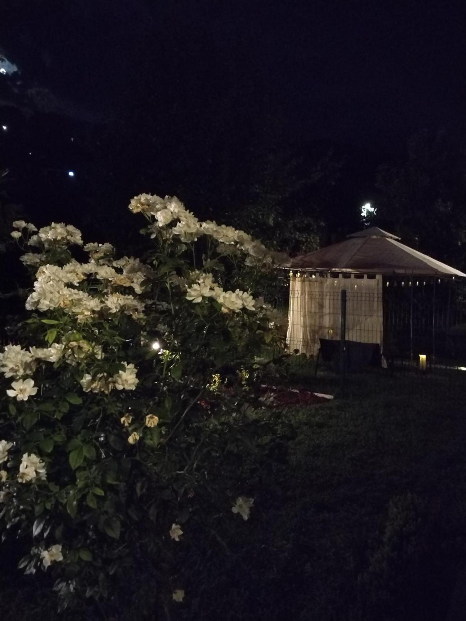 Guest House Dimitrije 尼什矿泉村 外观 照片