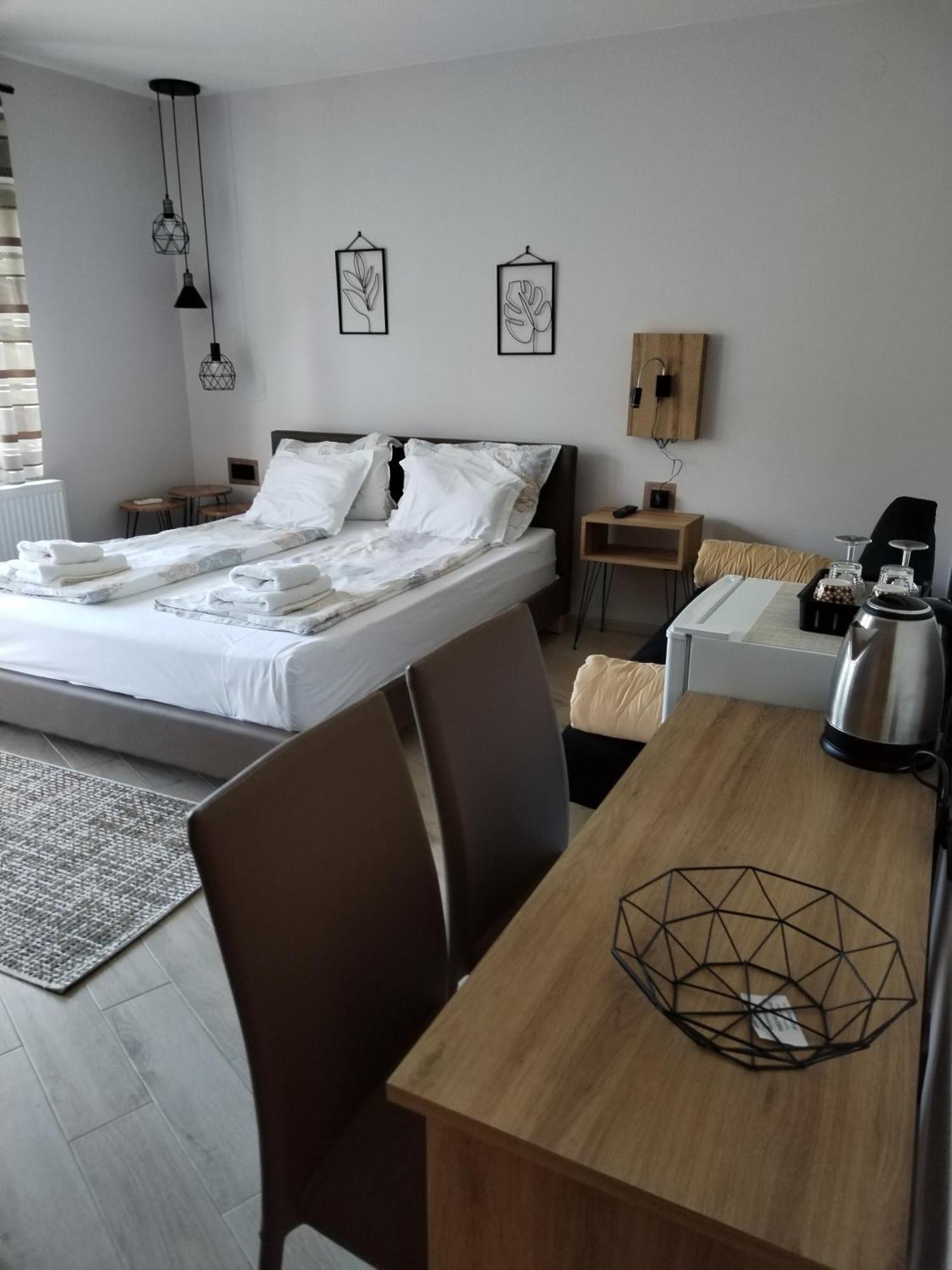 Guest House Dimitrije 尼什矿泉村 外观 照片