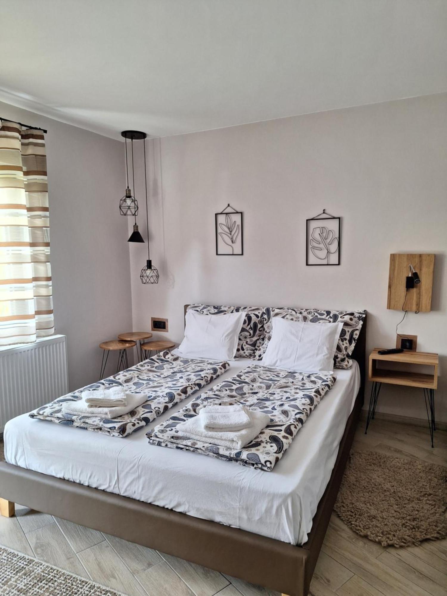 Guest House Dimitrije 尼什矿泉村 外观 照片