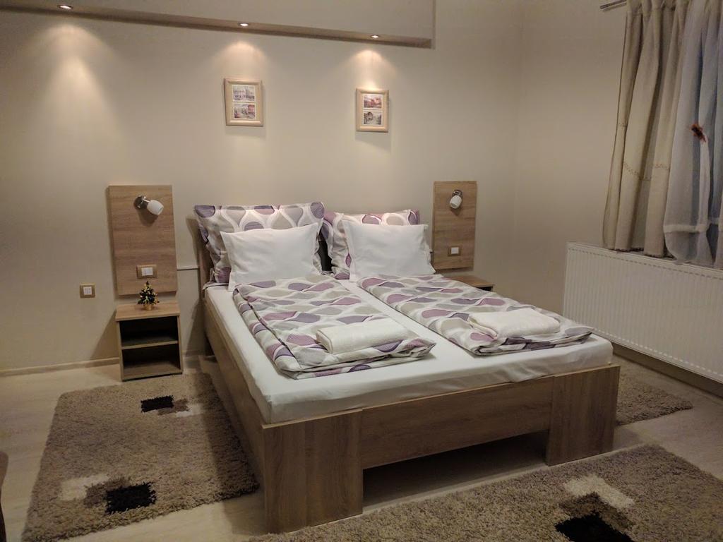 Guest House Dimitrije 尼什矿泉村 外观 照片