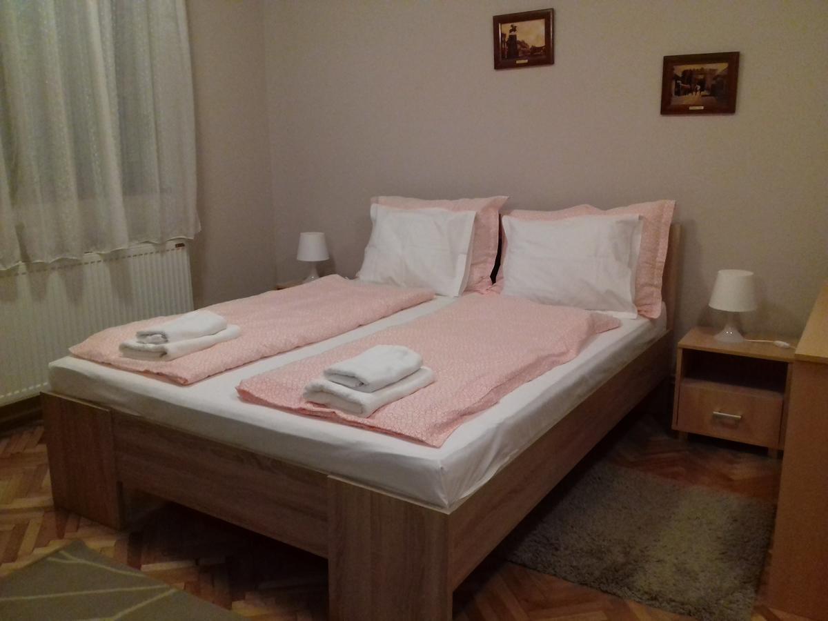 Guest House Dimitrije 尼什矿泉村 外观 照片