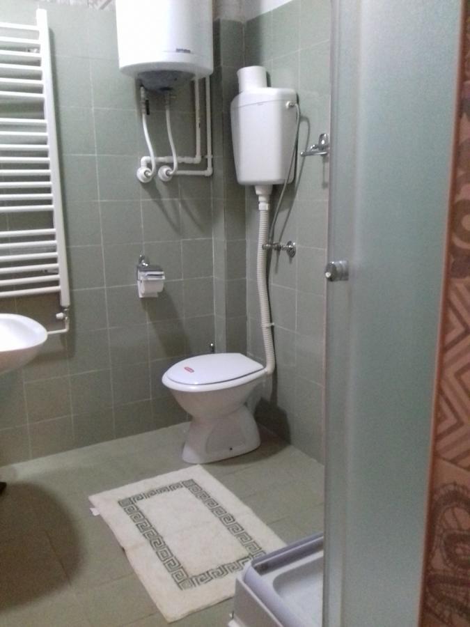 Guest House Dimitrije 尼什矿泉村 外观 照片