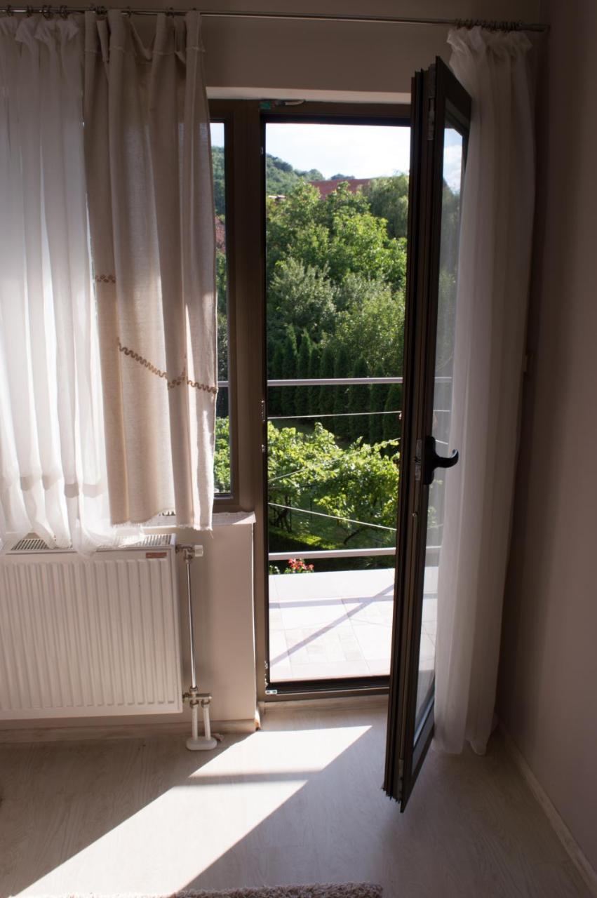 Guest House Dimitrije 尼什矿泉村 外观 照片