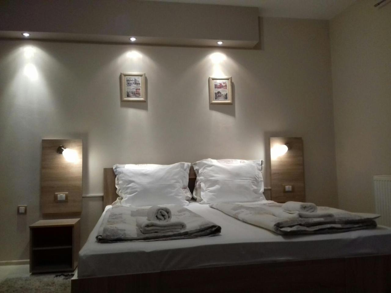 Guest House Dimitrije 尼什矿泉村 外观 照片