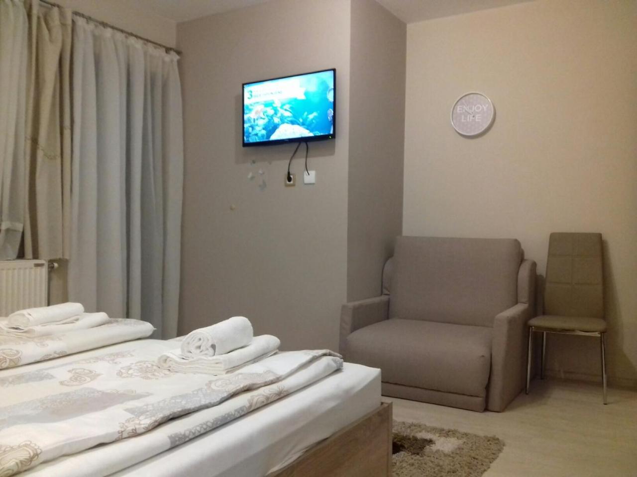 Guest House Dimitrije 尼什矿泉村 外观 照片